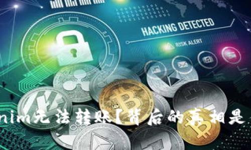 Tokenim无法转账？背后的真相是什么？