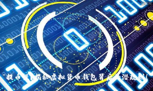 “提币慢?揭秘虚拟货币钱包背后的潜规则!”