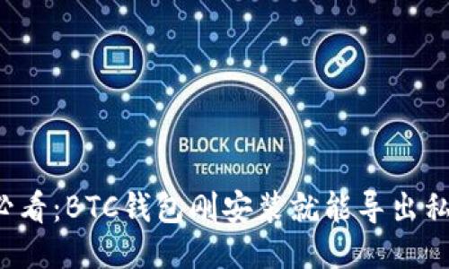 新手必看:BTC钱包刚安装就能导出私钥吗?