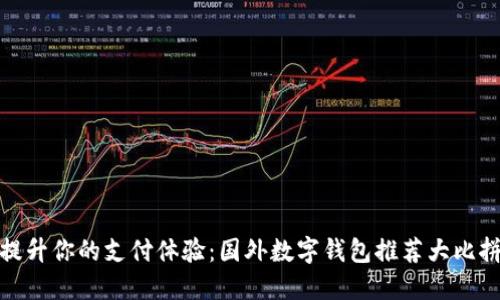 提升你的支付体验:国外数字钱包推荐大比拼