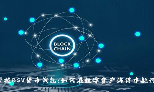 掌握BSV货币钱包:如何在数字资产海洋中航行?