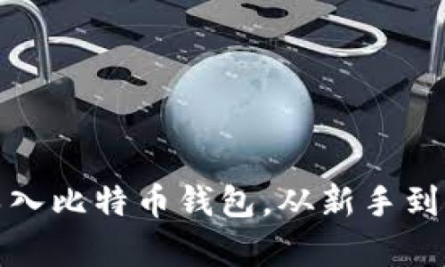 如何有效地导入比特币钱包,从新手到高手的全攻略