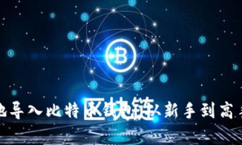 如何有效地导入比特币钱包,从新手到高手的全攻略