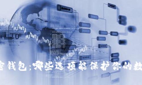 解密加密钱包:哪些选项能保护你的数字资产?