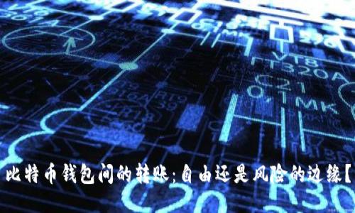 比特币钱包间的转账:自由还是风险的边缘?