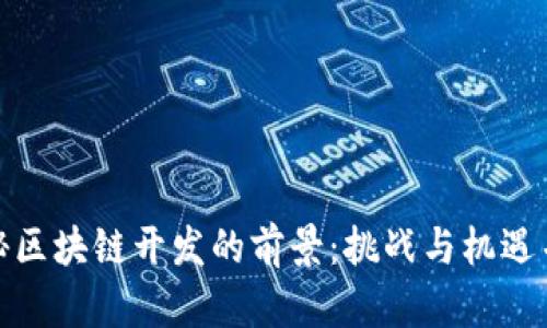 揭秘区块链开发的前景:挑战与机遇并存