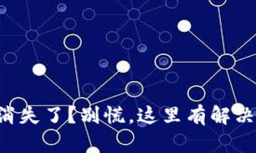 钱包消失了?别慌,这里有解决之道!