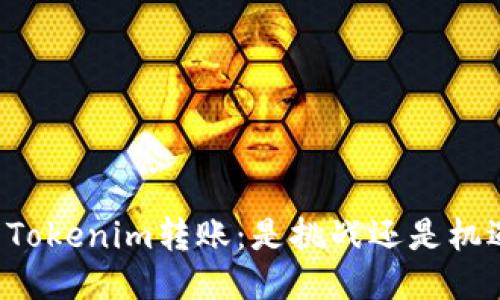 用Tokenim转账:是挑战还是机遇?