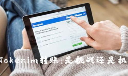 用Tokenim转账:是挑战还是机遇?