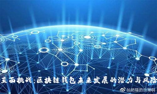 直面挑战：区块链钱包未来发展的潜力与风险