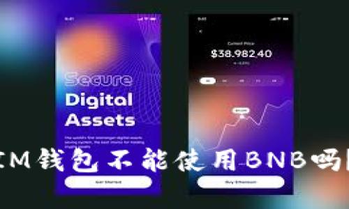 你的TokenTokenIM钱包不能使用BNB吗?这里有解决方案!