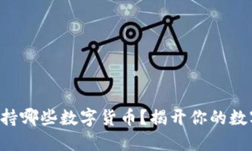 比太钱包支持哪些数字货币?揭开你的数字资产之谜!