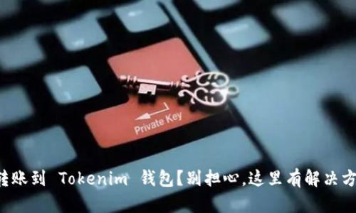 误转账到 Tokenim 钱包？别担心，这里有解决方案！