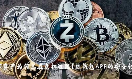 你的数字资产为何总在危机边缘?热钱包APP的安全性大挑战!