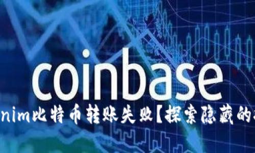 为什么你的Tokenim比特币转账失败？探索隐藏的挑战与解决方案！