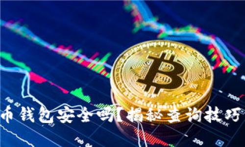 你的数字货币钱包安全吗?揭秘查询技巧与潜在风险!