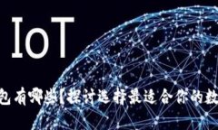 BTH钱包有哪些？探讨选择