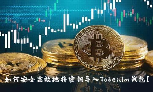 如何安全高效地将密钥导入Tokenim钱包?