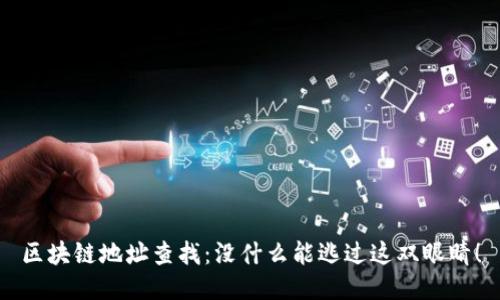 区块链地址查找:没什么能逃过这双眼睛!