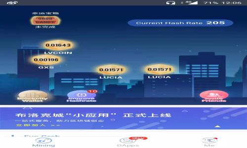 轻钱包支付：密码的必要性与安全性解析