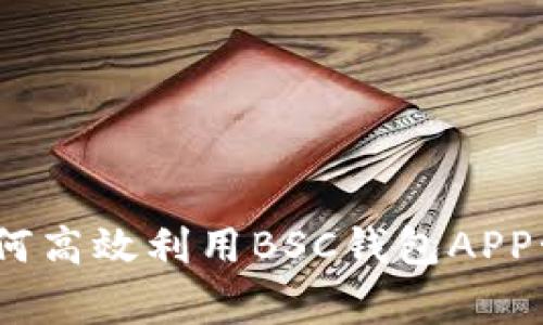 从新手到专家：如何高效利用BSC钱包APP管理你的数字资产