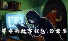 数字货币世界中的数字钱