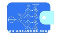 Tokenim零撸项目：成功与风