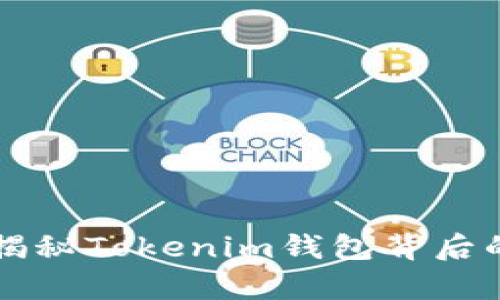 宽带不足？揭秘Tokenim钱包背后的解决之道！