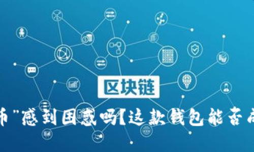 你还在为“屎币”感到困惑吗？这款钱包能否成为你的救星？