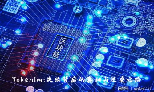 Tokenim：失败背后的真相与逆袭之路