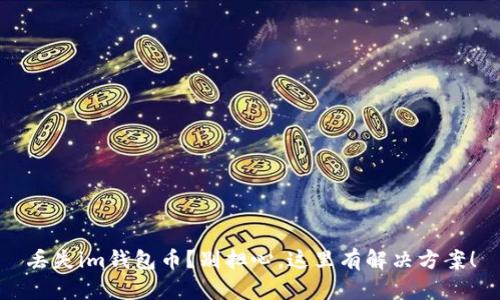丢失im钱包币？别担心，这里有解决方案！
