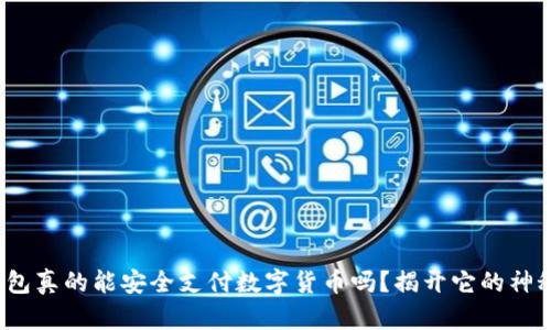硬件钱包真的能安全支付数字货币吗?揭开它的神秘面纱!