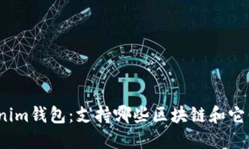 探索Tokenim钱包：支持哪些区块链和它们的潜力？
