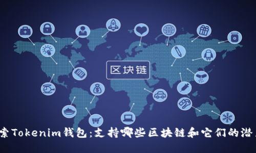 探索Tokenim钱包：支持哪些区块链和它们的潜力？
