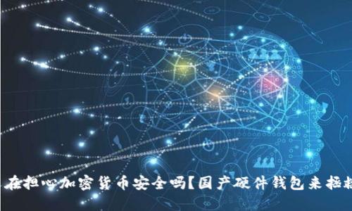 你还在担心加密货币安全吗?国产硬件钱包来拯救你!