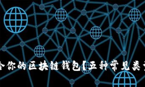 如何选择最适合你的区块链钱包?五种常见类型的对比与分析