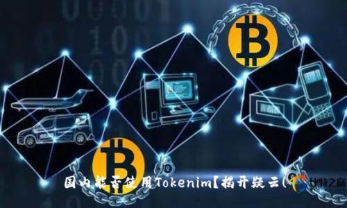 国内能否使用Tokenim?揭开疑云!