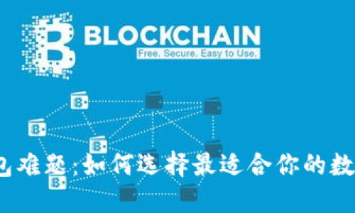 破解钱包难题:如何选择最适合你的数字钱包?