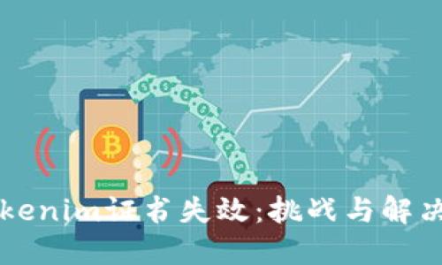 当Tokenim证书失效：挑战与解决方案