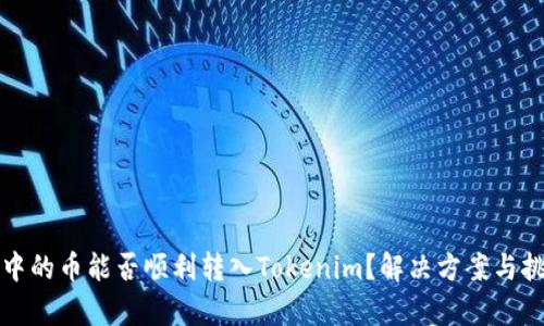 TP钱包中的币能否顺利转入Tokenim?解决方案与挑战解析