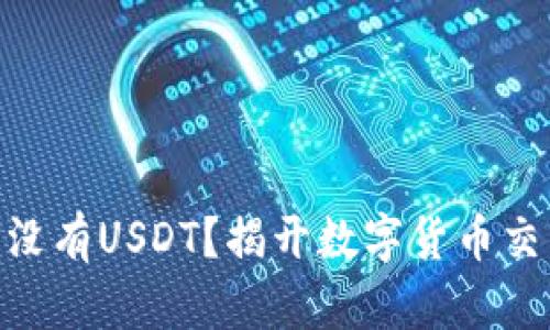 为什么Tokenim上没有USDT?揭开数字货币交易平台的神秘面纱
