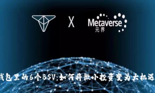 钱包里的6个BSV:如何将微小投资变为大机遇?