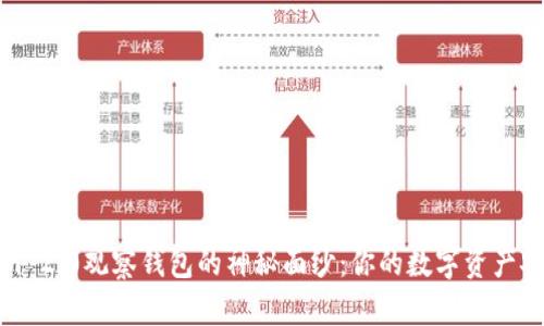 揭开Tokenim 2.0观察钱包的神秘面纱:你的数字资产安全重塑之旅