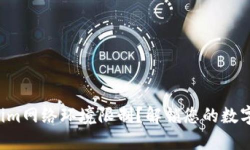如何破解Tokenim网络环境限制?解锁您的数字资产自由之路!