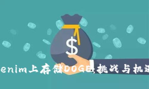 在Tokenim上存储DOGE:挑战与机遇并存