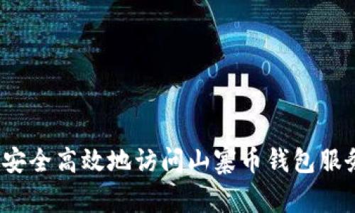 如何安全高效地访问山寨币钱包服务器?
