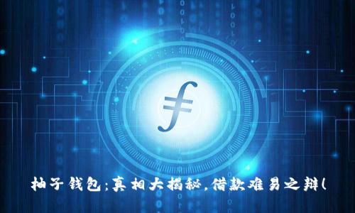 柚子钱包：真相大揭秘，借款难易之辩！