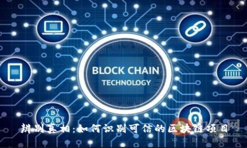 辨别真相：如何识别可信的区块链项目