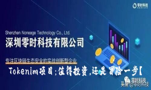 Tokenim项目:值得投资,还是冒险一步?