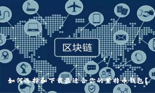 如何选择和下载最适合你的莱特币钱包？